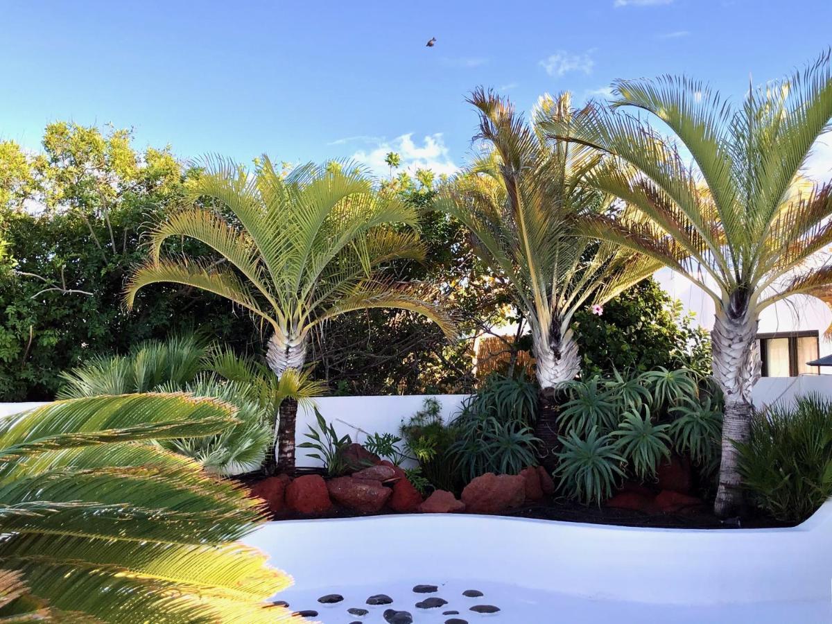 Picasso Private Pool * Playa Blanca (Lanzarote)